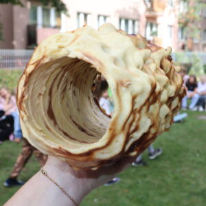 IMG 5044 Projekt pt. „Śladami Wielokulturowego Podlasia – Wędrówki po Dziedzictwie Regionu", IMG 5044 Projekt pt. „Śladami Wielokulturowego Podlasia – Wędrówki po Dziedzictwie Regionu",