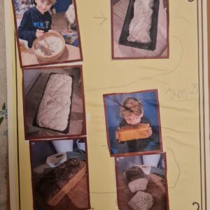 20251030 182221 Warsztaty "Smaki Podlasia" w kl. 2S - projekt "Śladami Wielokulturowego Podlasia" 20251030 182221 Warsztaty "Smaki Podlasia" w kl. 2S - projekt "Śladami Wielokulturowego Podlasia"