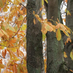 5N2A0681 GALERIA FOTOGRAFII – Koło fotograficzne „Mały kadr” – klasa 4L 5N2A0681 GALERIA FOTOGRAFII – Koło fotograficzne „Mały kadr” – klasa 4L