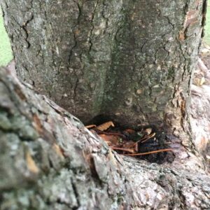 IMG 0048 GALERIA FOTOGRAFII – Koło fotograficzne „Mały kadr” – klasa 4L IMG 0048 GALERIA FOTOGRAFII – Koło fotograficzne „Mały kadr” – klasa 4L